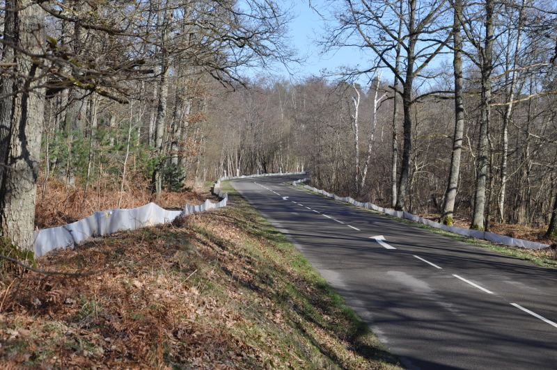 2013 02 25 Montage du crapaudrome 31